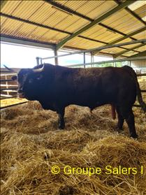 photo non disponible